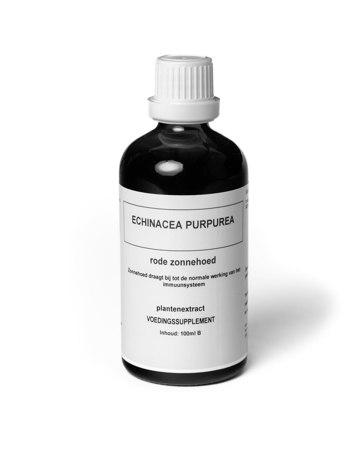 Echinacea